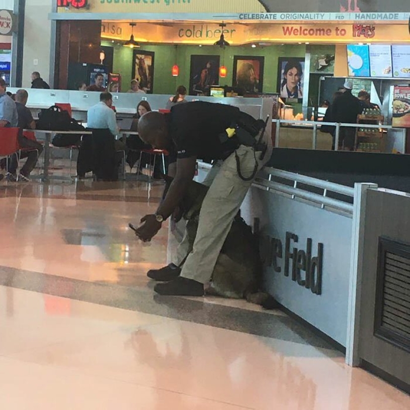 The girl noticed how a policeman at the airport takes a selfie with a service dog The girl noticed how a policeman at the airport takes a selfie with a service dog