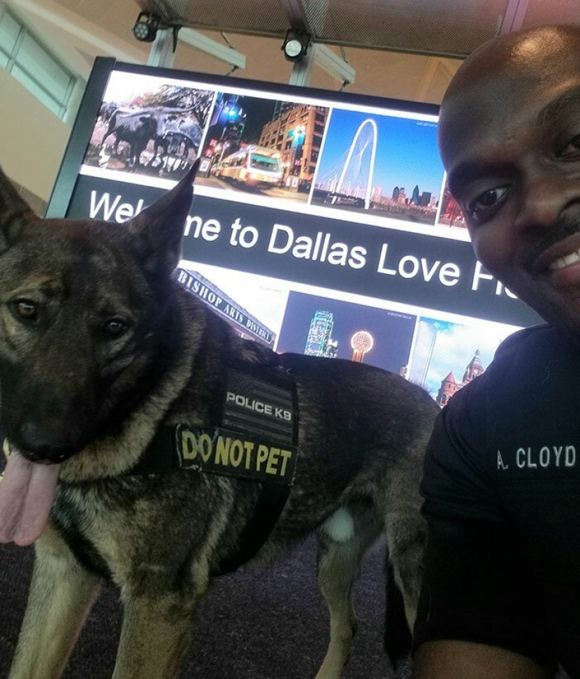 The girl noticed how a policeman at the airport takes a selfie with a service dog The girl noticed how a policeman at the airport takes a selfie with a service dog
