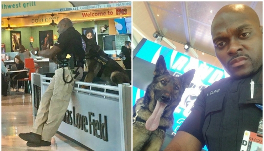 The girl noticed how a policeman at the airport takes a selfie with a service dog The girl noticed how a policeman at the airport takes a selfie with a service dog