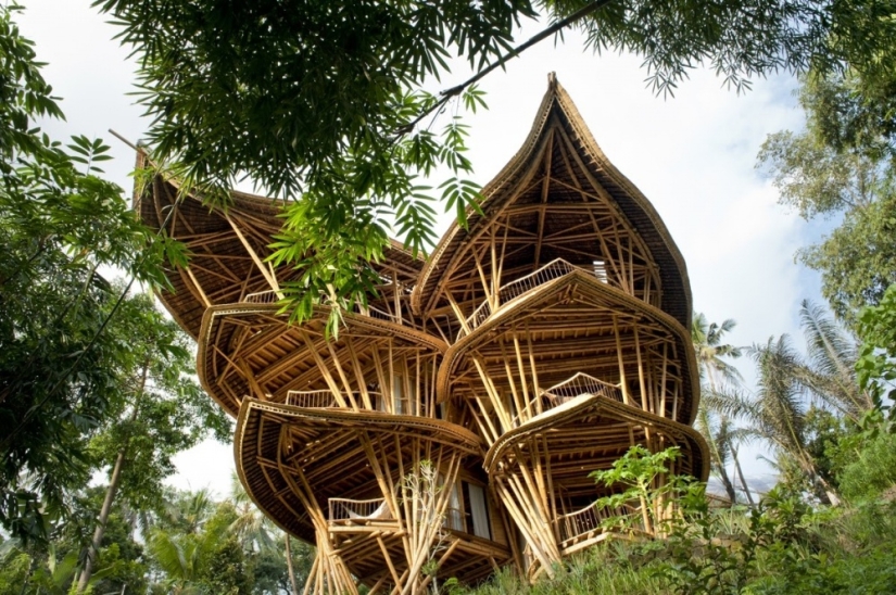 The girl quit her job, went to Bali and built an awesome bamboo house there