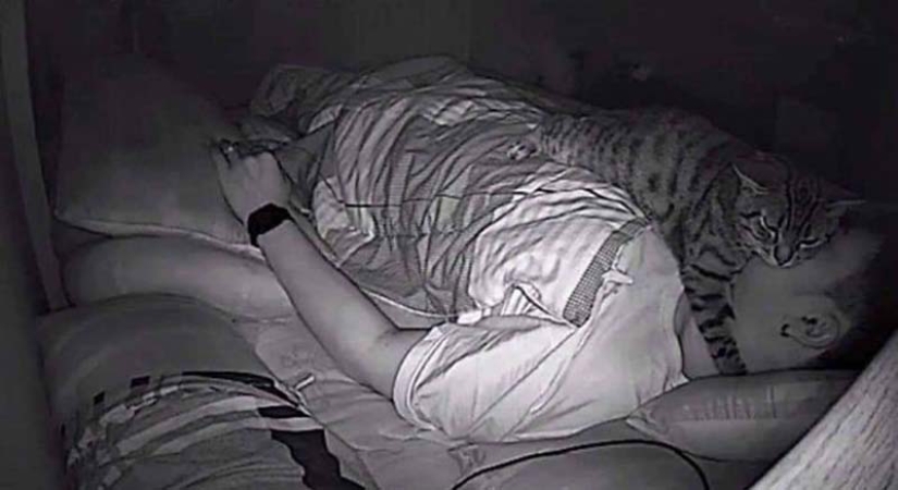 The guy installed a camera in his room to film what his cat does at night