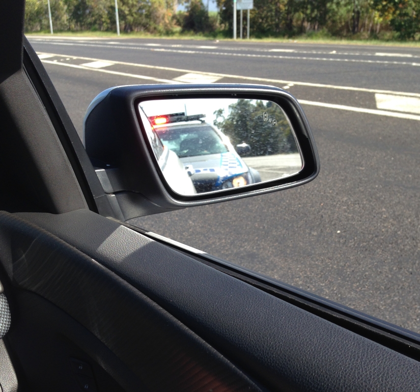 The guy traveled around Australia and became disillusioned with koalas The guy traveled around Australia and became disillusioned with koalas