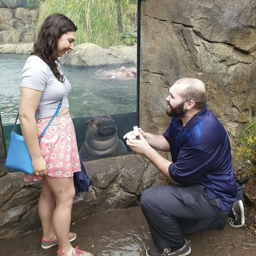 The hippo girl was offended that the marriage proposal was not made to her The hippo girl was offended that the marriage proposal was not made to her