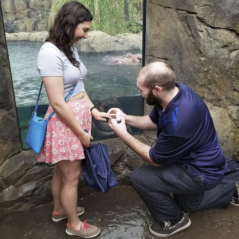 The hippo girl was offended that the marriage proposal was not made to her