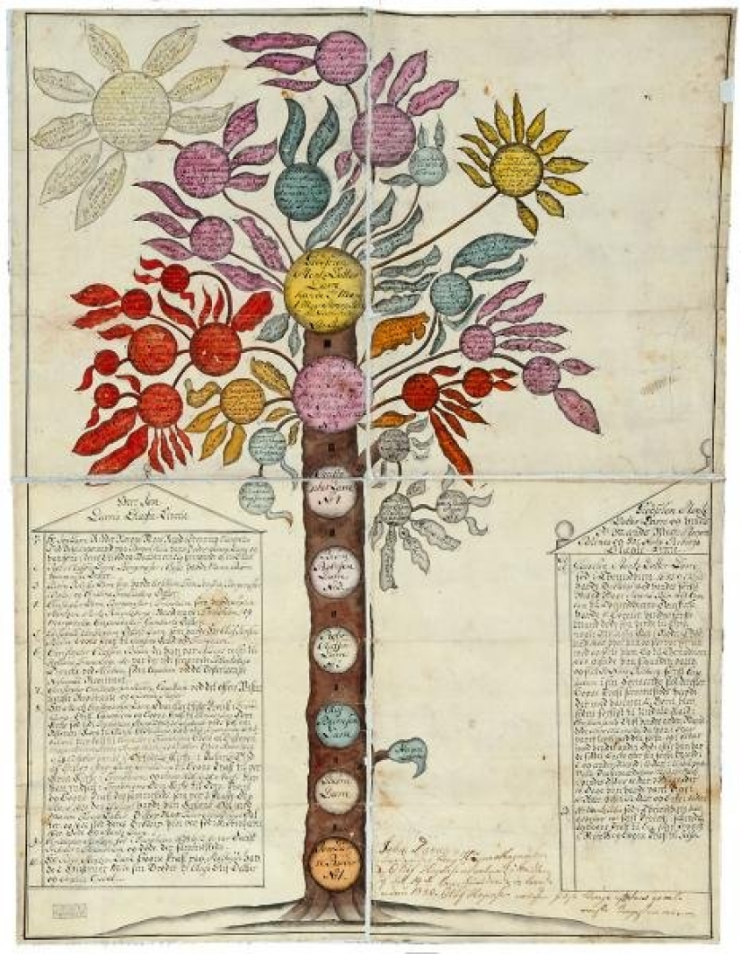 The history and culture of mankind in numbers: what unusual documents are stored in the world archives