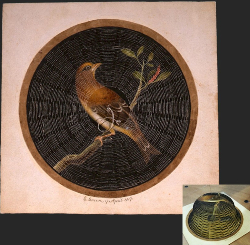 The history and culture of mankind in numbers: what unusual documents are stored in the world archives