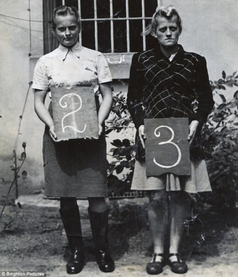 The hyena of Auschwitz: photos of cruel concentration camp guards will be auctioned off