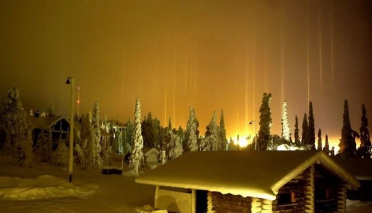 The incredible beauty of venomous snakes in Mark Light's photo project