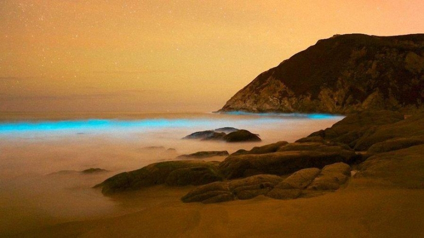 The incredible beauty of venomous snakes in Mark Light's photo project