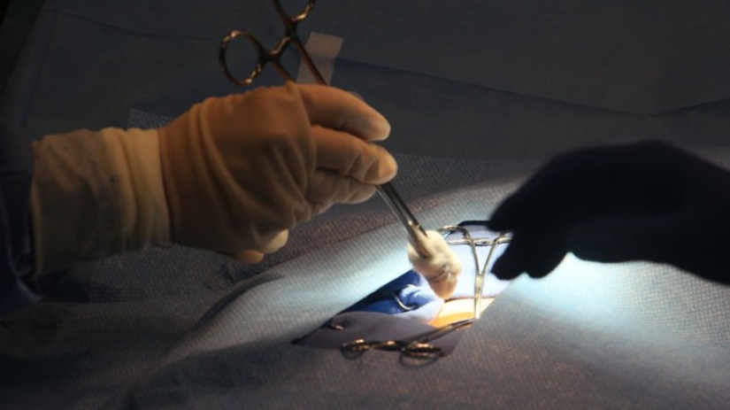 The Indian did not like the small dowry, and he sold the kidney to an unsuspecting wife