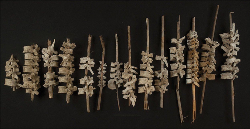 The installations of human spines found in Peru amazed archaeologists