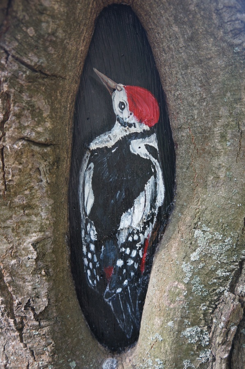 The Little Prince and the Hedgehog in the fog: who paints fairy-tale pictures on the trees of Moscow The Little Prince and the Hedgehog in the fog: who paints fairy-tale pictures on the trees of Moscow