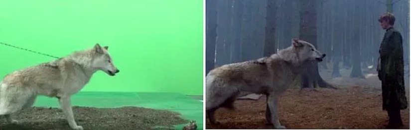 The Magic of Chromakey: 15 new shots of Game of Thrones before and after applying special effects The Magic of Chromakey: 15 new shots of Game of Thrones before and after applying special effects