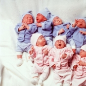 The Magnificent Seven 20 years later: what will be the fate of the world's first seven-year-olds