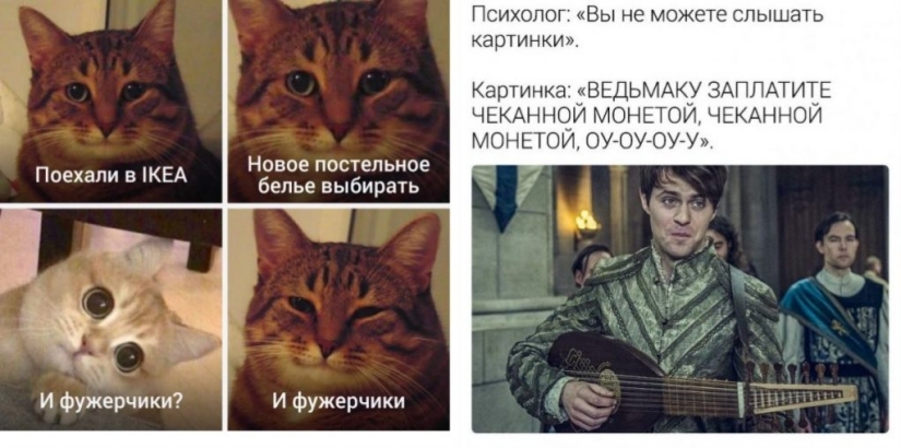 The main memes of 2019, over which we will continue to laugh in 2020