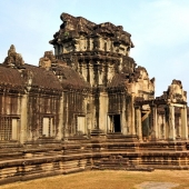 The maned dove is the closest relative of the dodo bird.