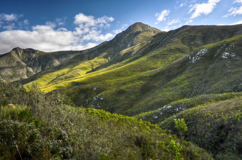 The most amazing facts about dolphins The most amazing facts about dolphins