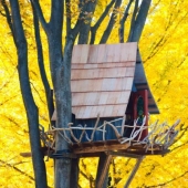 The most amazing tree houses