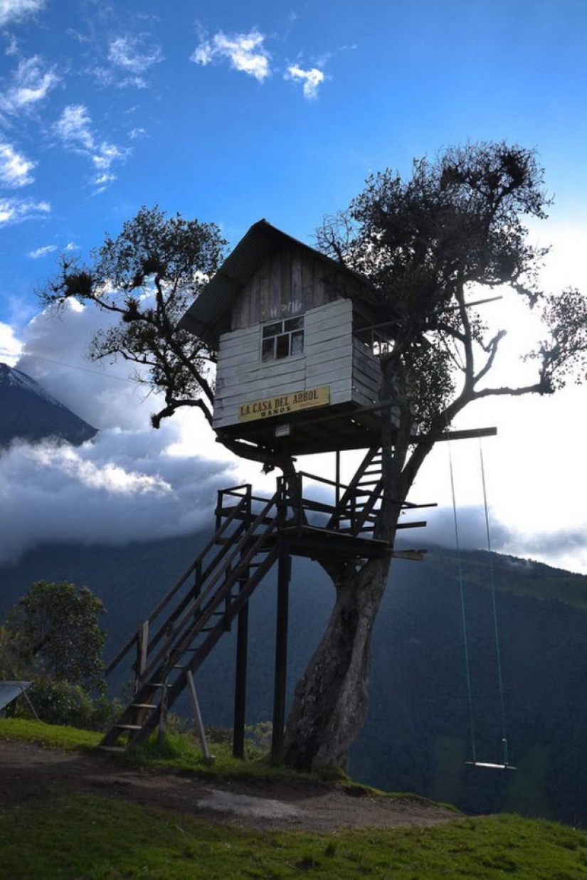 The most amazing tree houses