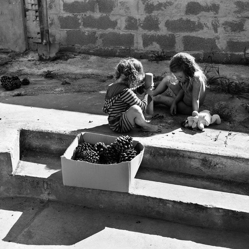 The most beautiful family album