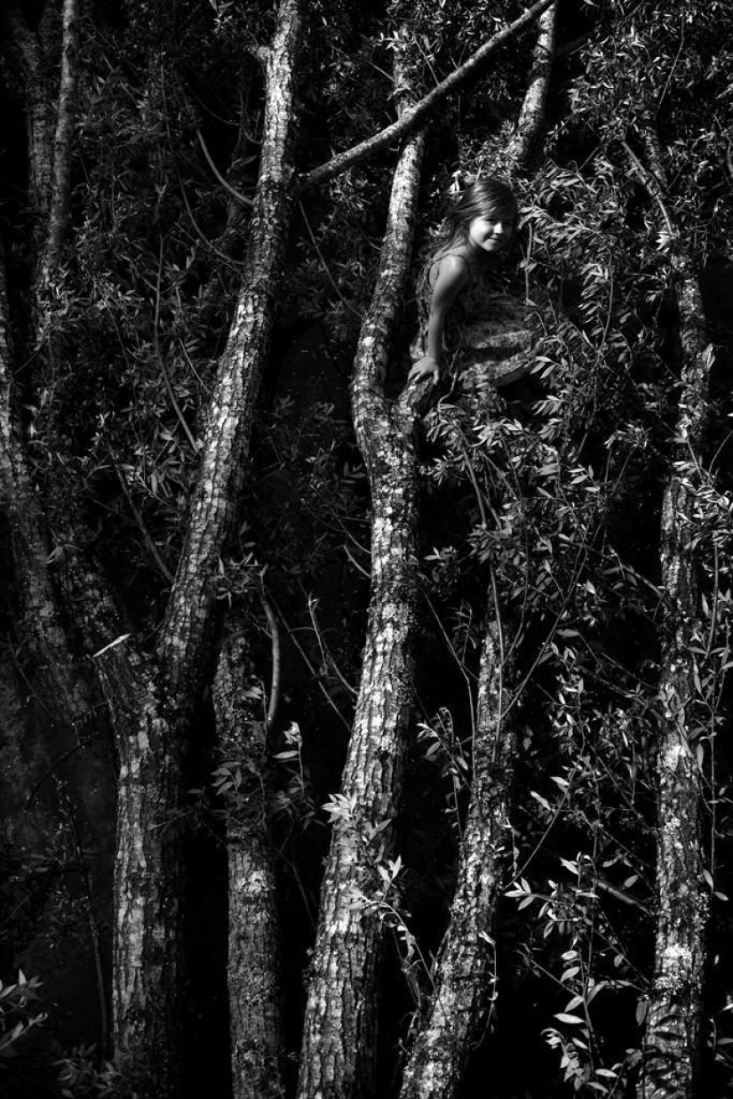 The most beautiful family album