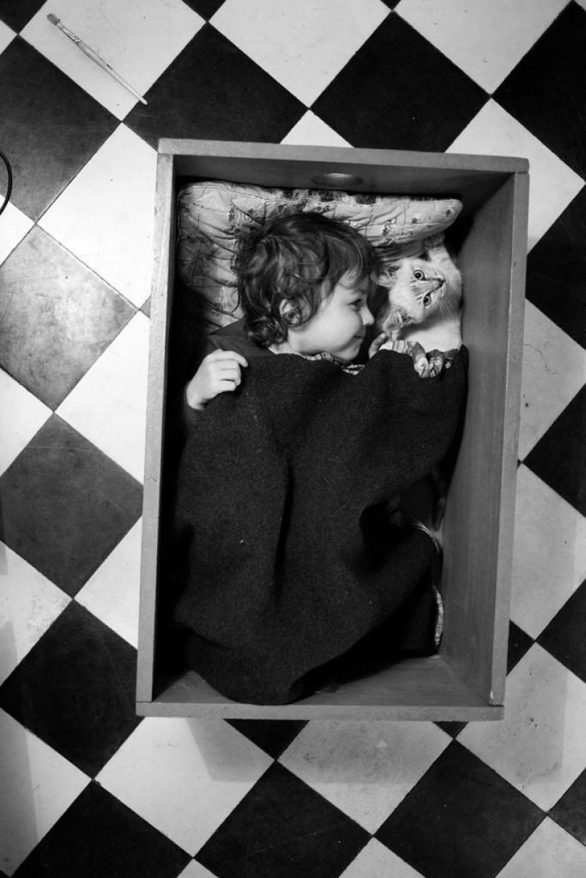 The most beautiful family album