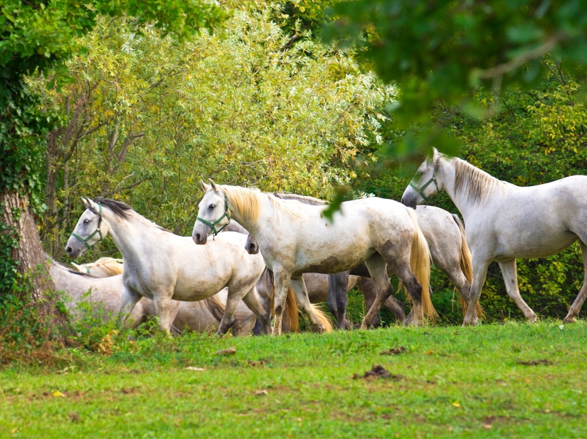 The most beautiful places in South Korea The most beautiful places in South Korea