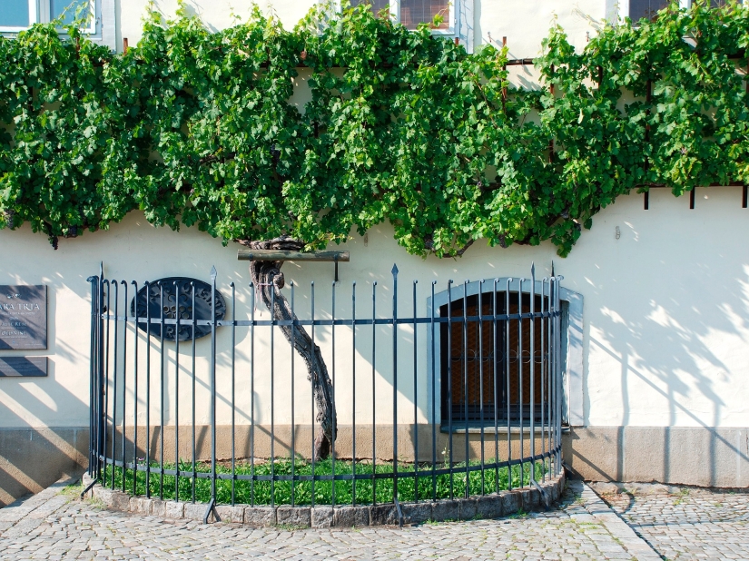 The most beautiful places in South Korea The most beautiful places in South Korea