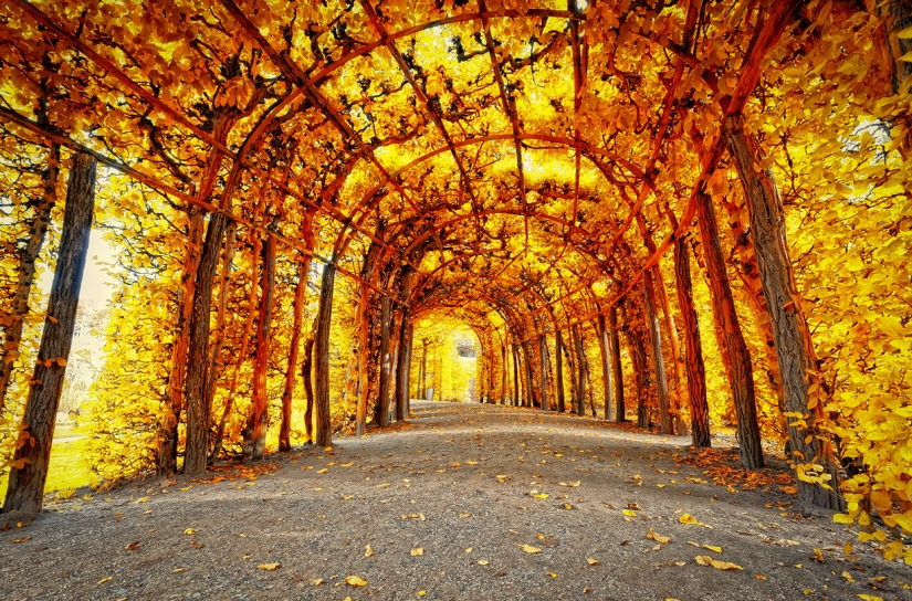 The most exciting alleys on the planet, which are definitely worth a walk