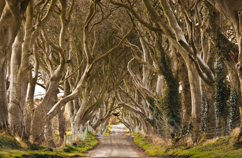 The most exciting alleys on the planet, which are definitely worth a walk