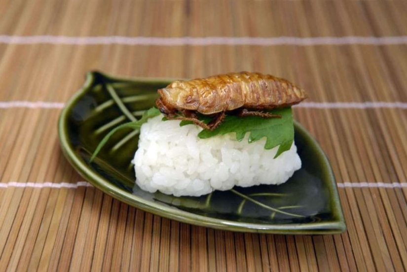 The most exotic sushi in the world The most exotic sushi in the world