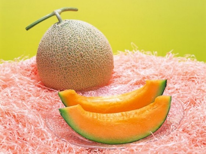 The most expensive meals in the world The most expensive meals in the world