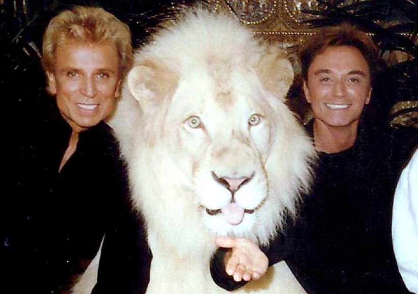 The most famous animal attacks on humans