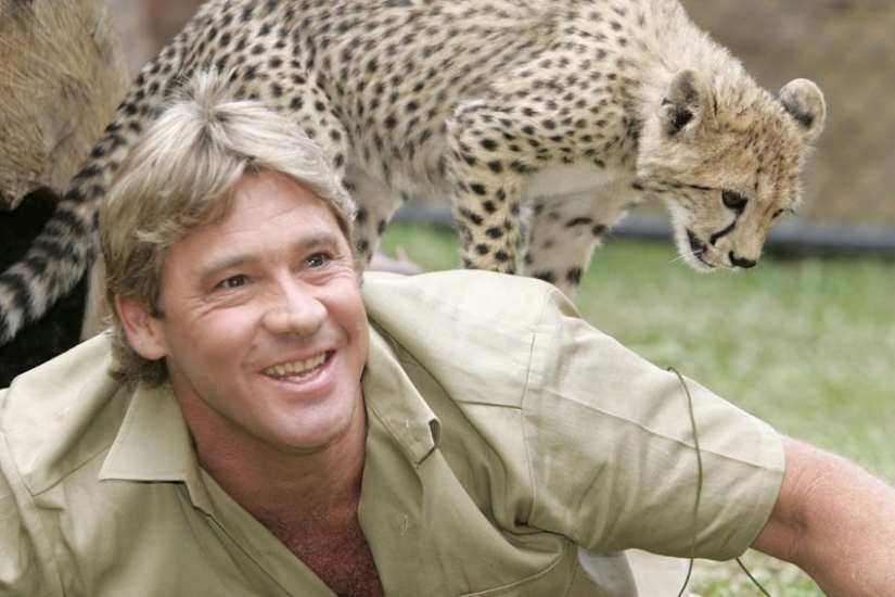 The most famous animal attacks on humans