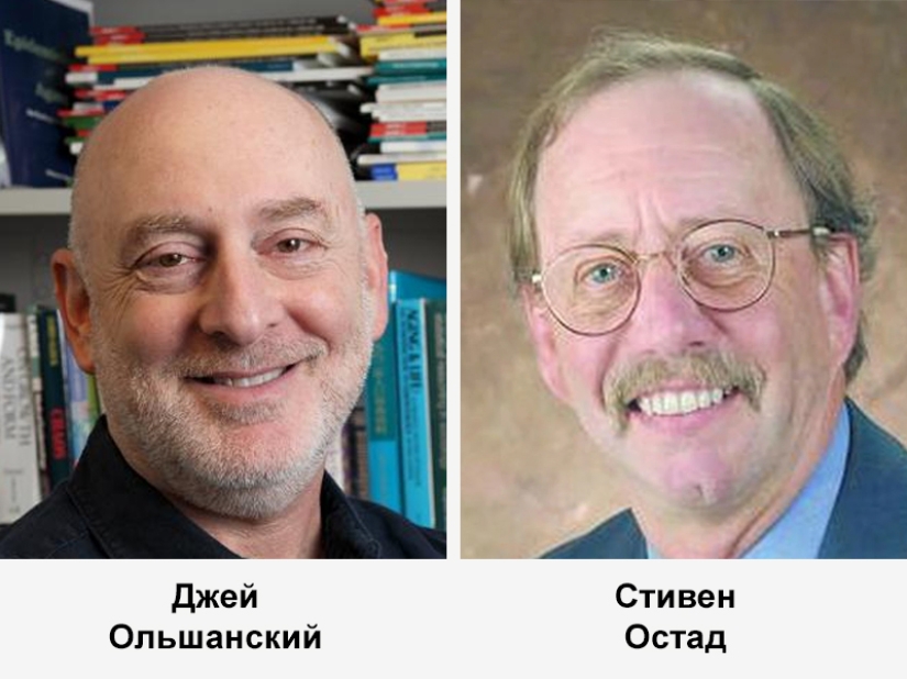 The most interesting human bets in the world