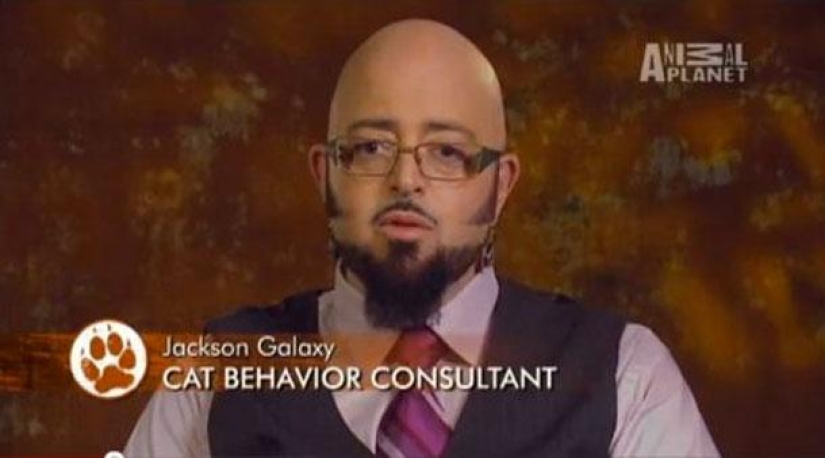 The most stupid names of professions and positions highlighted on TV The most stupid names of professions and positions highlighted on TV