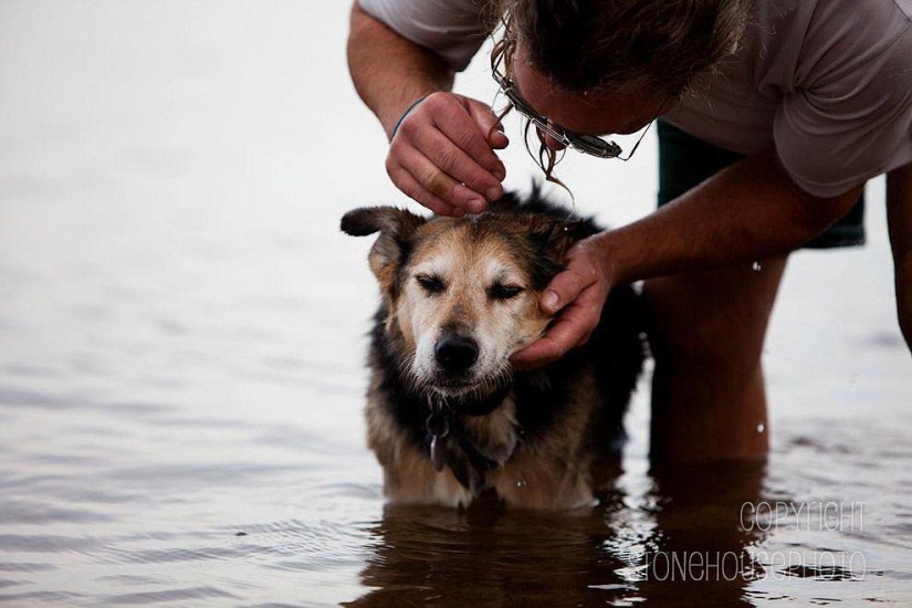 The most touching story of caring for a pet The most touching story of caring for a pet