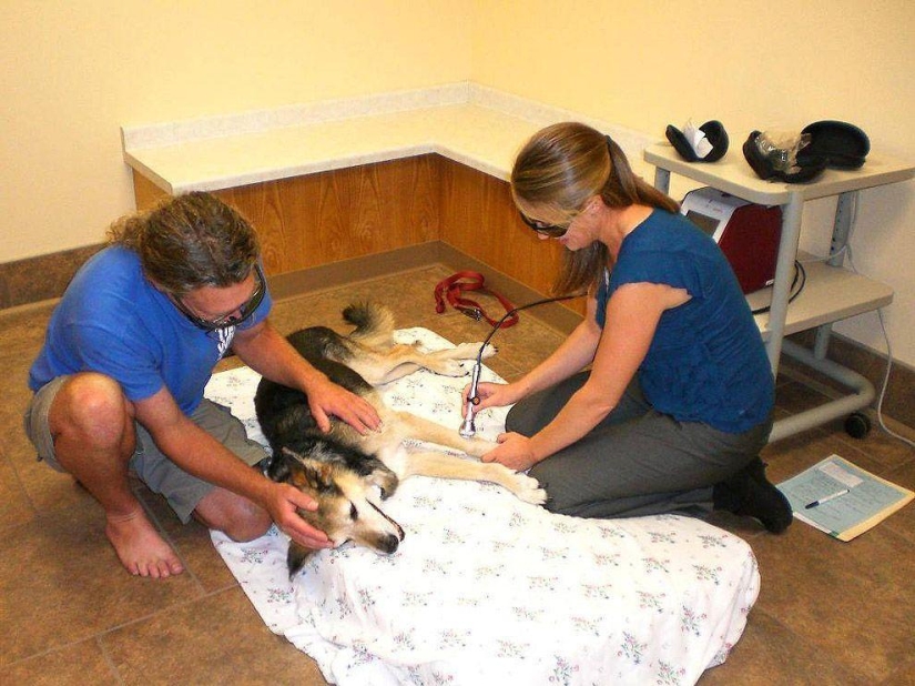 The most touching story of caring for a pet The most touching story of caring for a pet