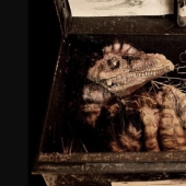 The mystery of the disappeared Brazilian who left only mysterious writings in his room