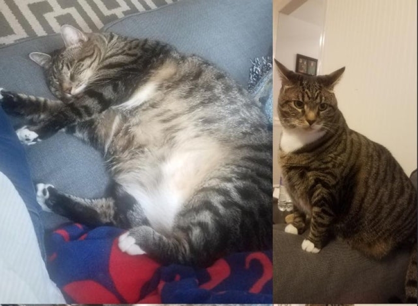 The New year brings success! Top achievements of 20 social media users in 2019