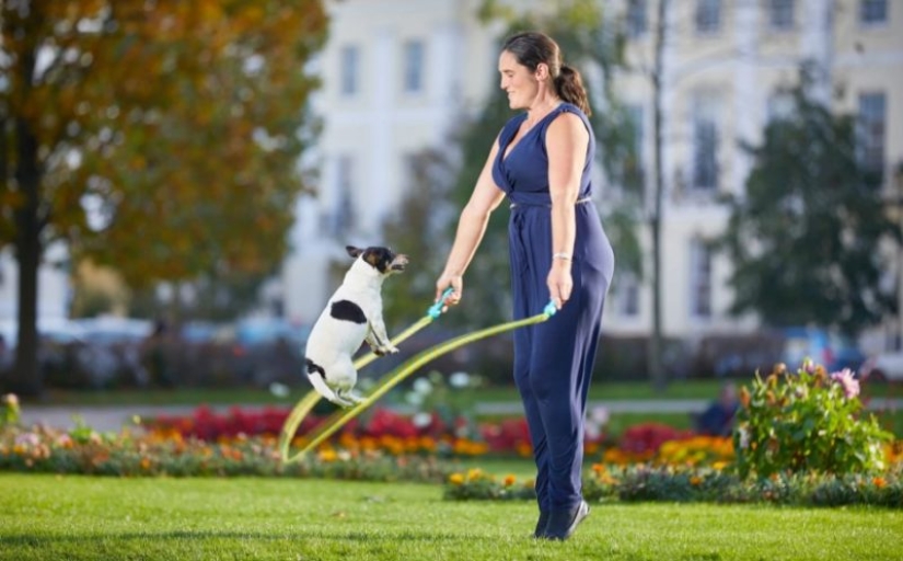 The oldest gymnast in the world and a huge walker: what have the authors of the Guinness Book of Records 2019 prepared for the public?