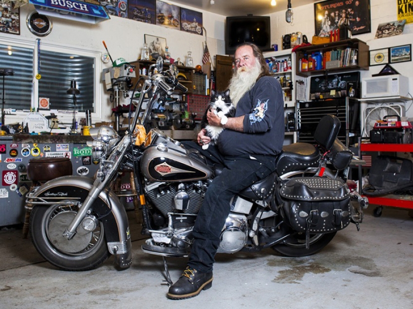 The perfect union: men and their cats