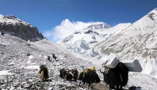 The pinnacle of technology: a 5G tower was installed on Everest with the help of yaks The pinnacle of technology: a 5G tower was installed on Everest with the help of yaks