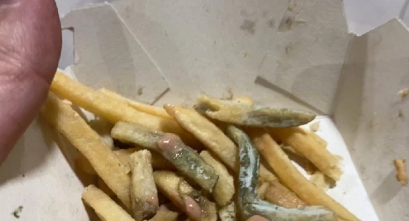 The pranker ate a moldy burger and fries from McDonald's, which he buried in the ground for a year