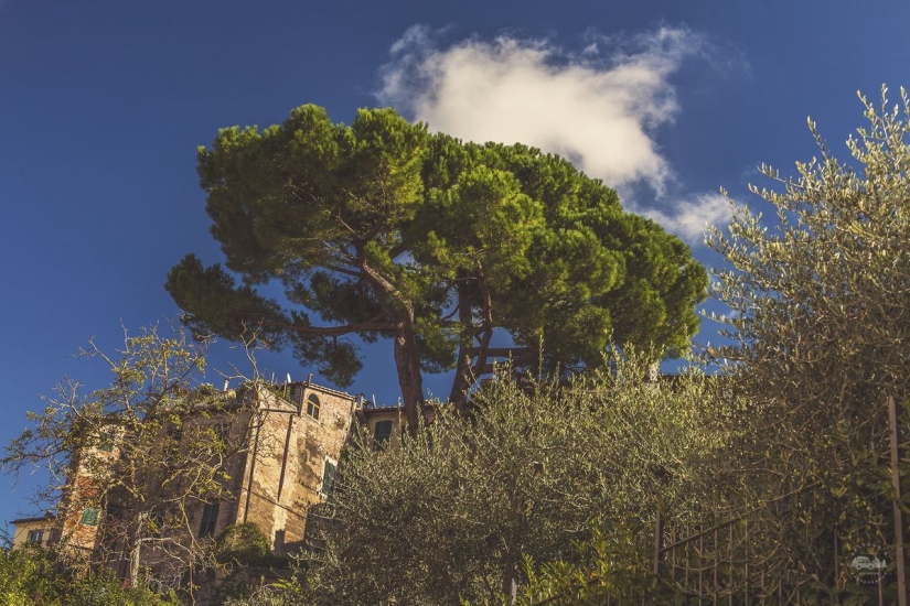 The real Italy. Part One The real Italy. Part One