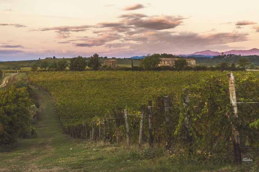 The real Italy. Part One The real Italy. Part One