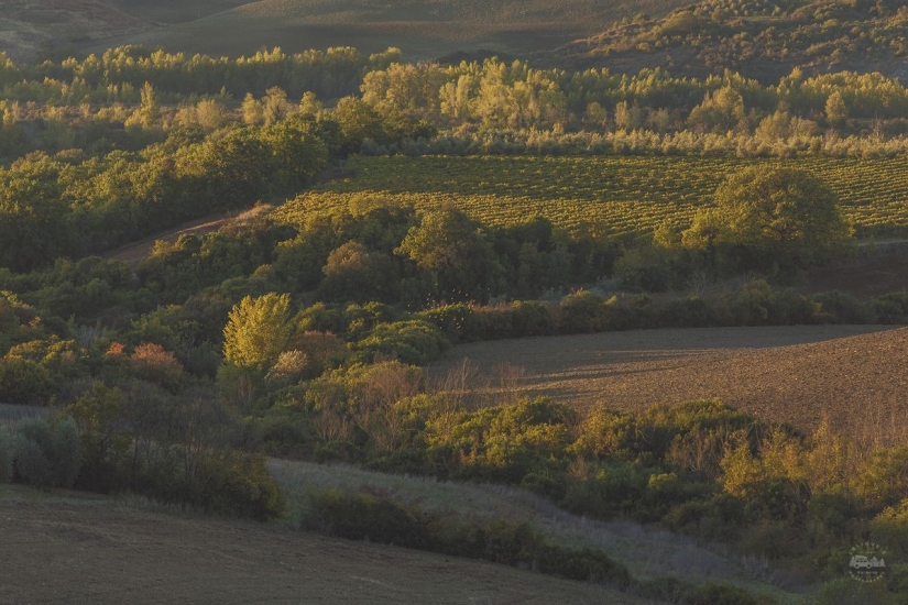 The real Italy. Part One The real Italy. Part One