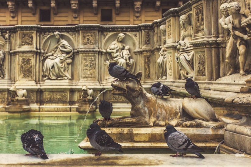 The real Italy. Part One The real Italy. Part One