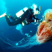 The real sizes of some things: 20 examples with comparison!