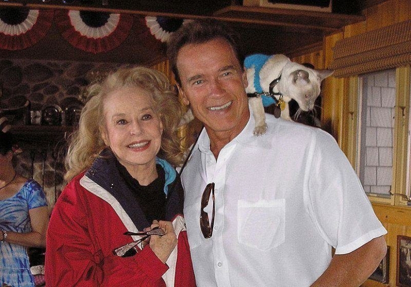 The retro beauty who conquered the world BEFORE Marilyn Monroe is already 84 years old!